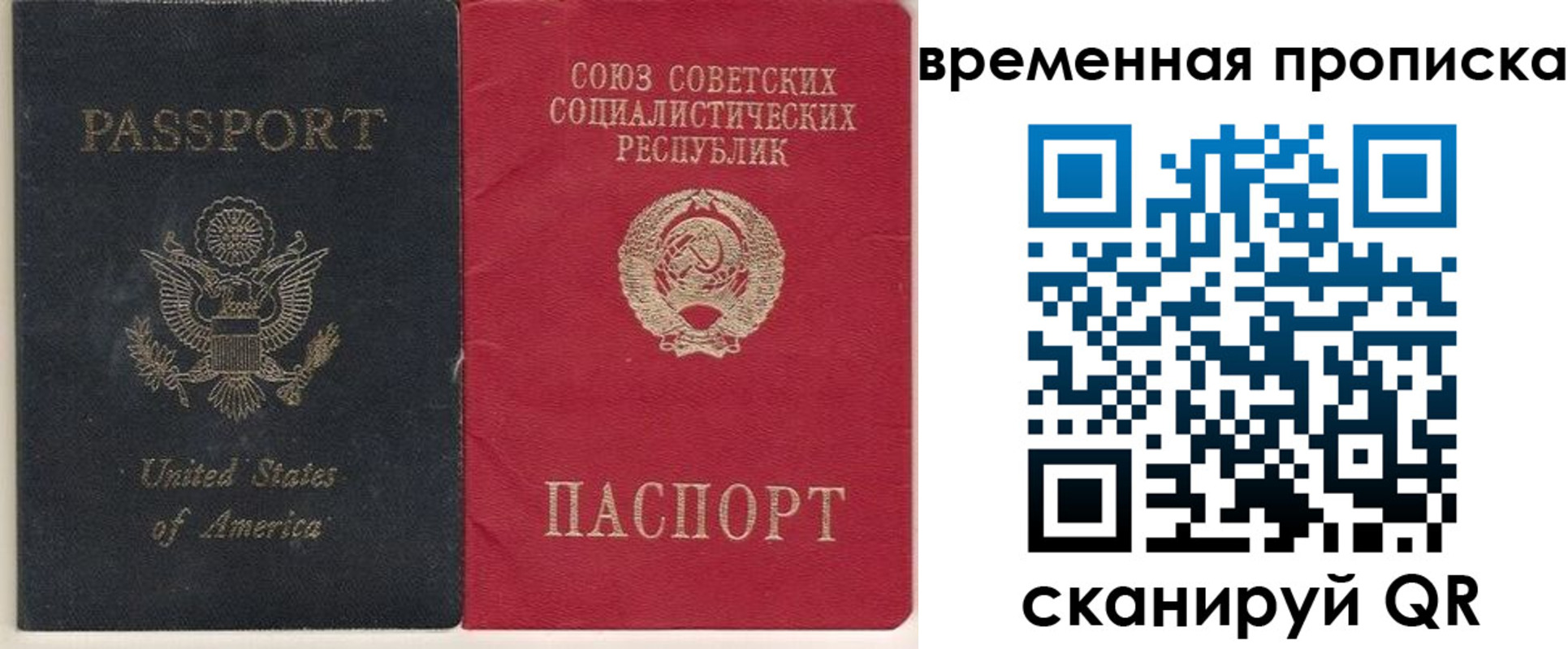прописка для школы в Ликино-Дулёво